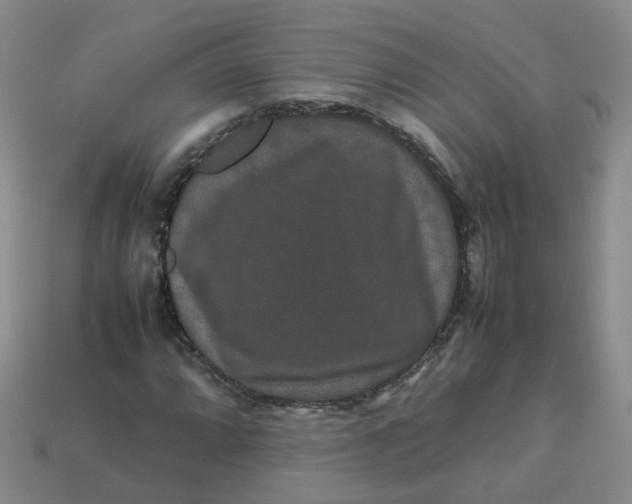 X0000113761064200910141043