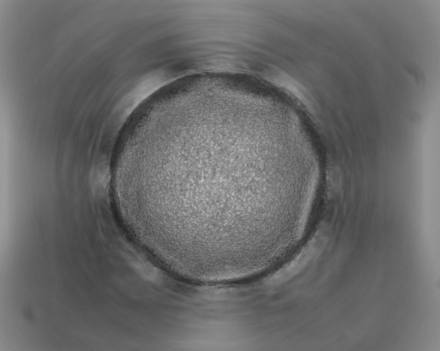 X0000113761065200910141043