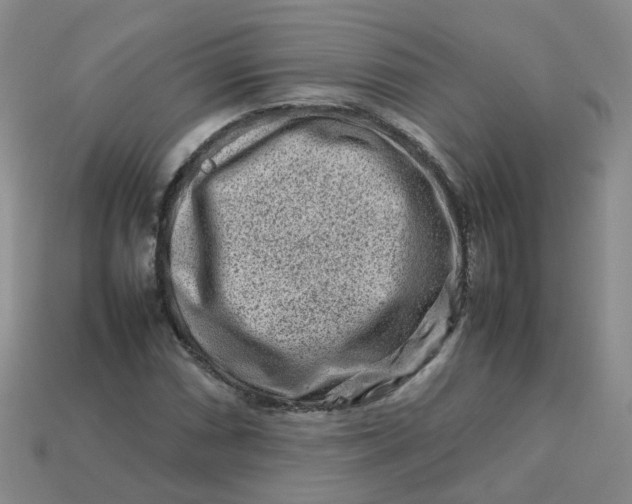 X0000113761066200910141043