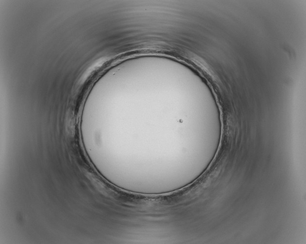 X0000113761067200910141043