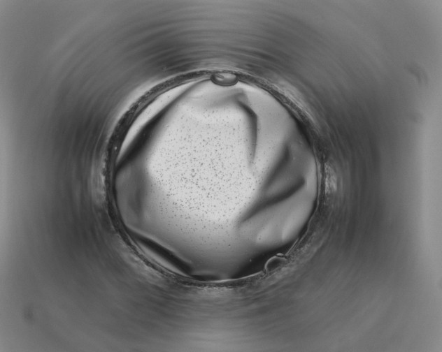X0000113761068200910141043
