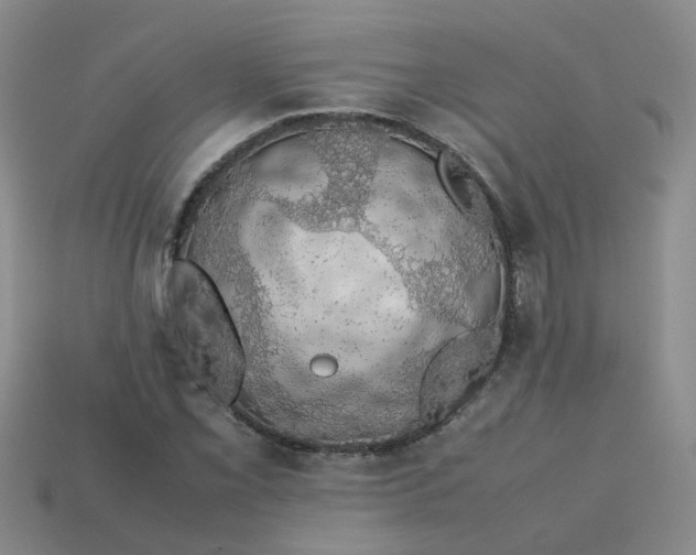 X0000113761069200910141043