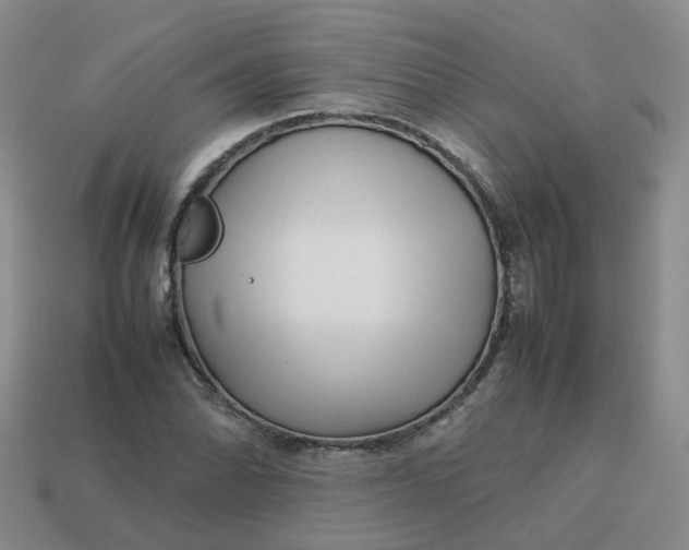 X0000113761070200910141043