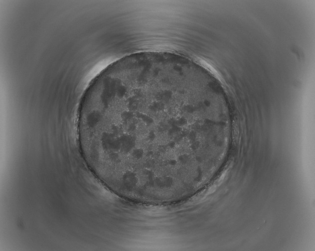 X0000113761071200910141043