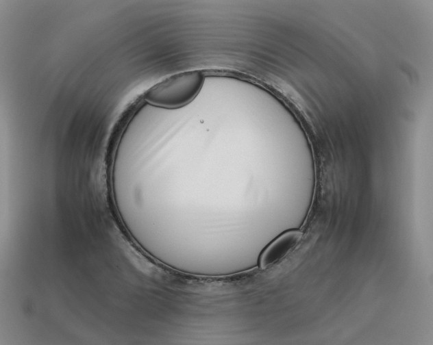 X0000113761072200910141043