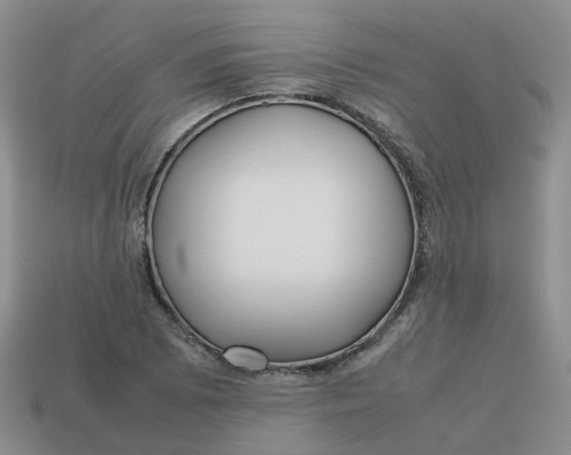 X0000113761073200910141043