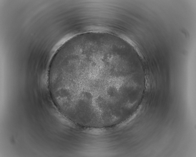X0000113761074200910141043