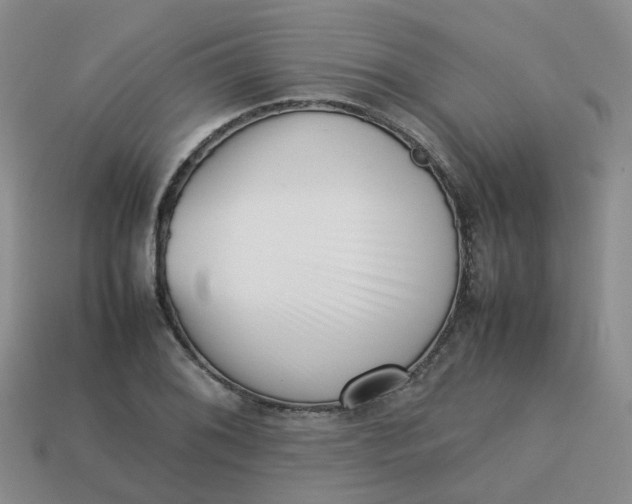 X0000113761076200910141043