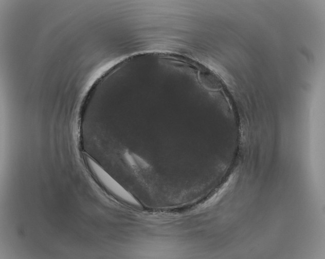 X0000113761077200910141043