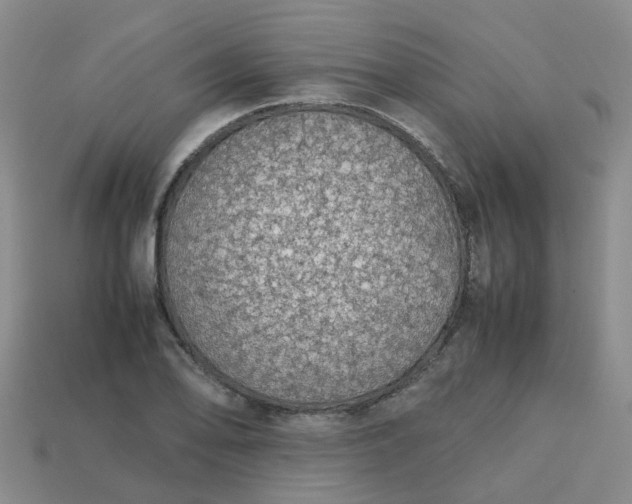 X0000113761078200910141043