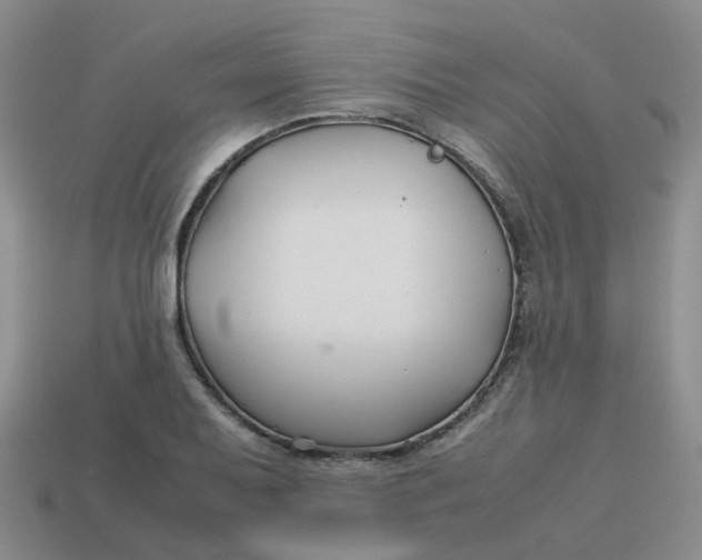 X0000113761079200910141043