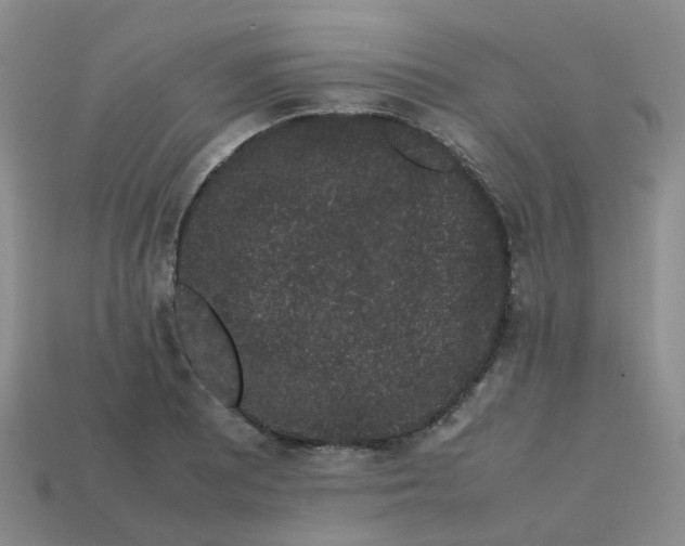 X0000113761081200910141043