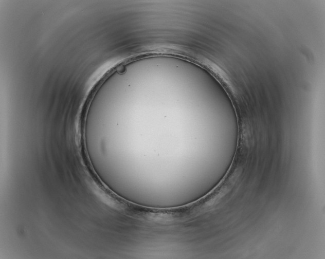 X0000113761082200910141043