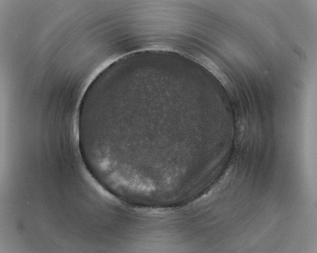 X0000113761084200910141043