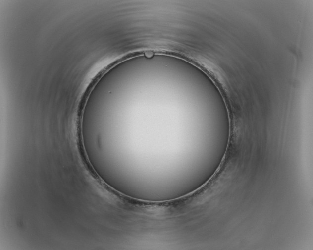 X0000113761085200910141043