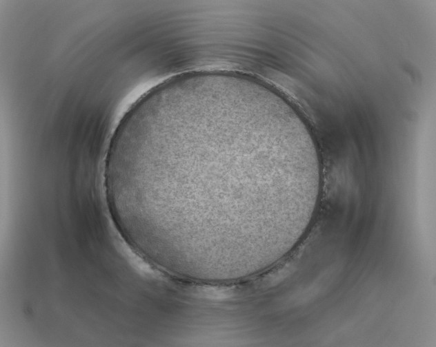 X0000113761086200910141043