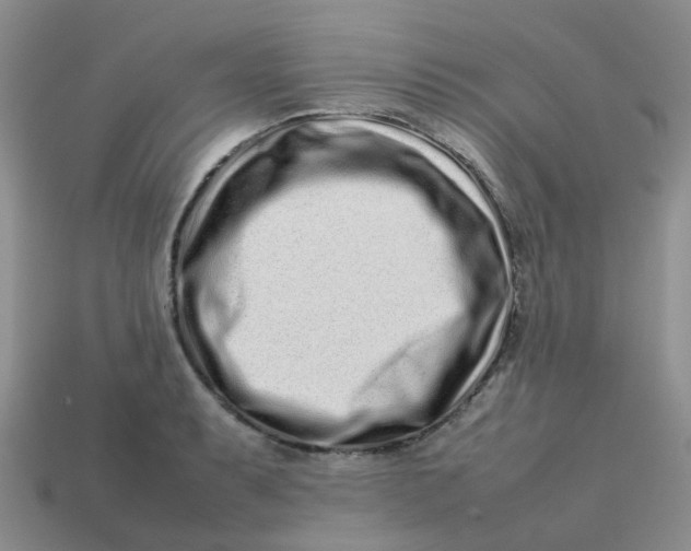 X0000113761087200910141043