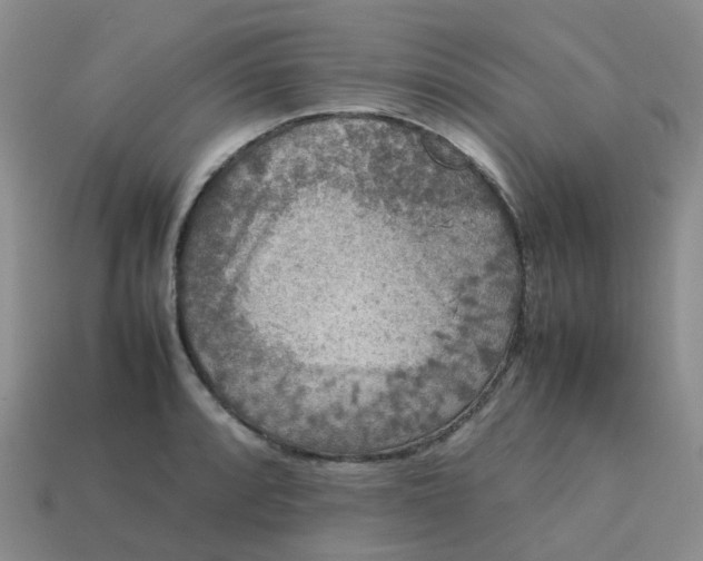 X0000113761088200910141043