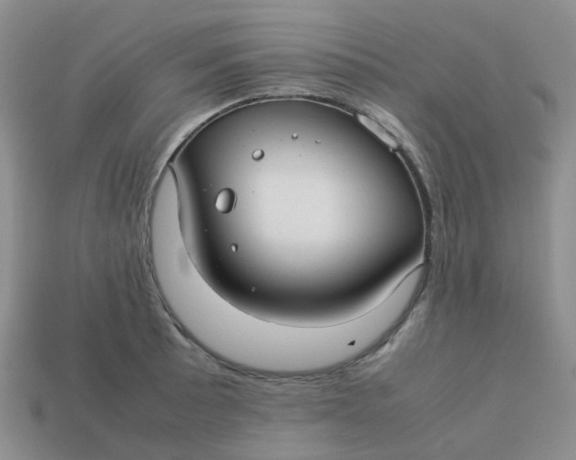 X0000113761089200910141043