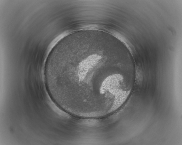 X0000113761090200910141043