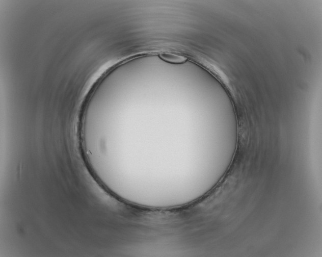 X0000113761091200910141043