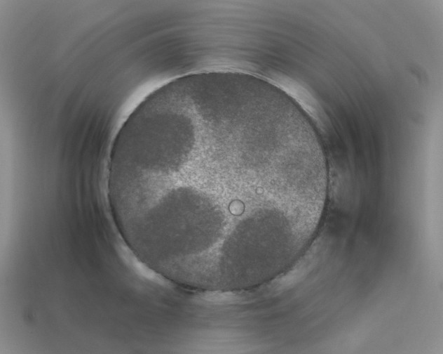 X0000113761094200910141043