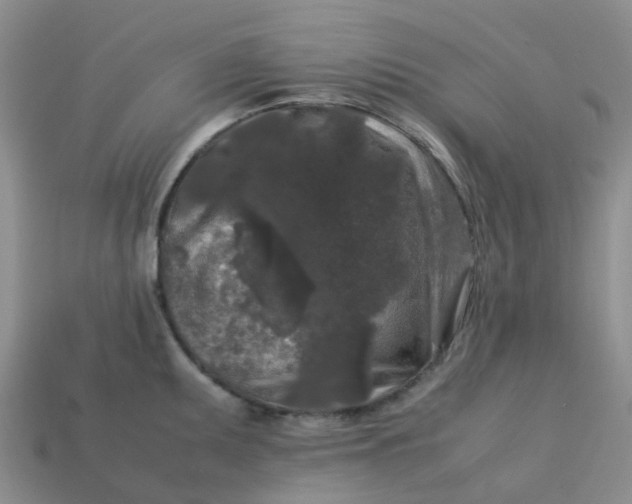 X0000113761095200910141043