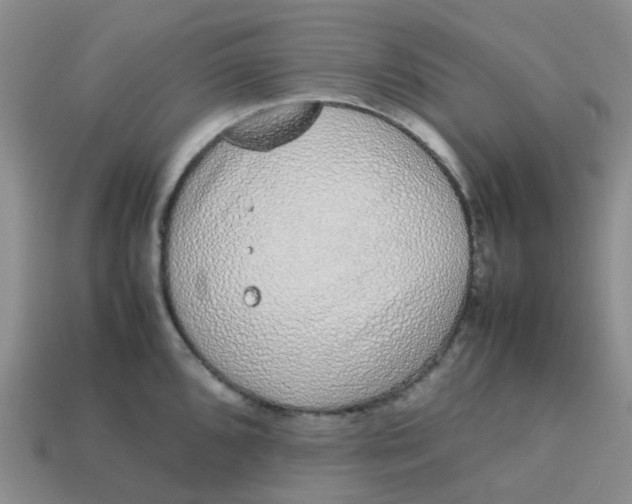 X0000113761096200910141043