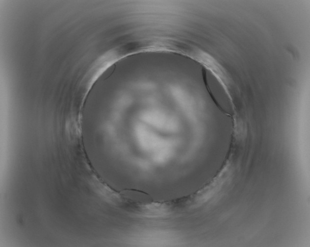 X0000113761097200910141043