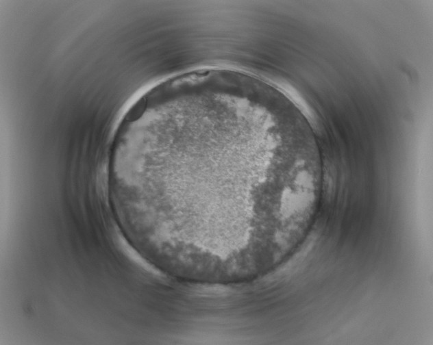 X0000113761100200910141043