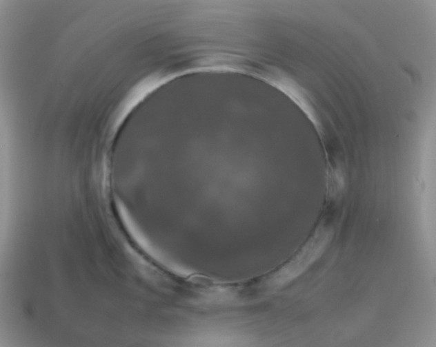 X0000113761101200910141043