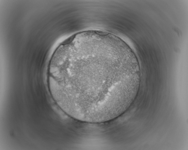 X0000113761104200910141042