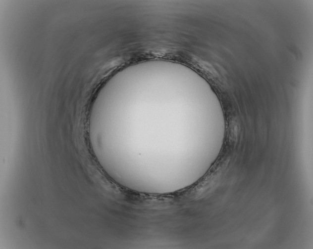 X0000113761105200910141042