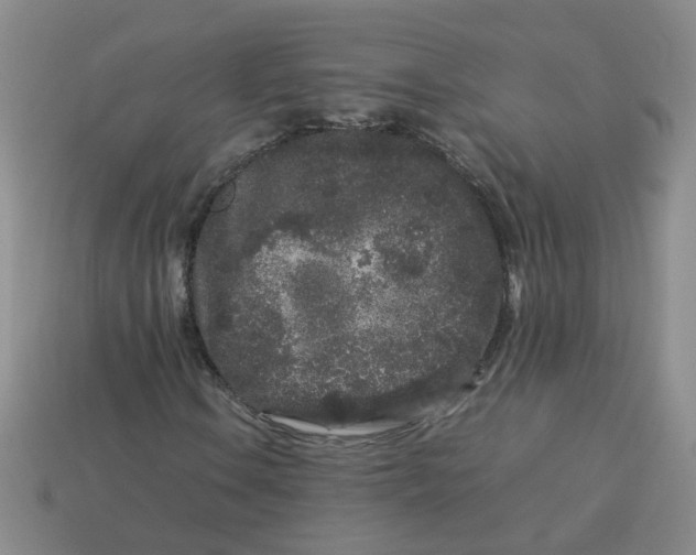 X0000113761106200910141042