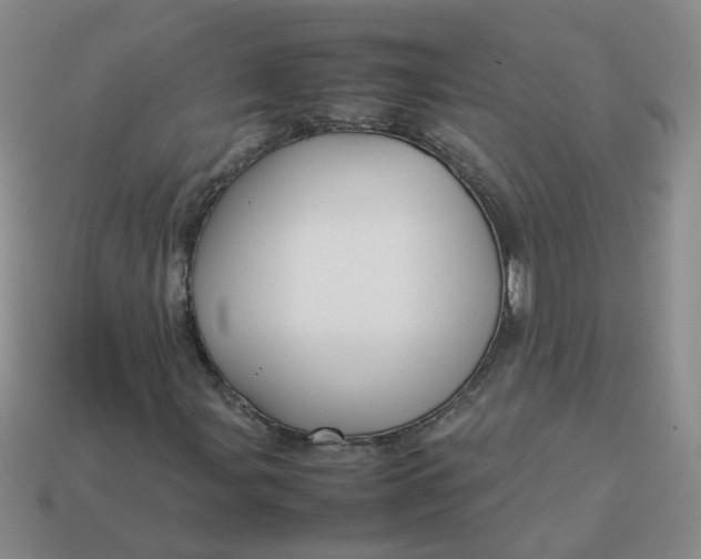 X0000113761107200910141042