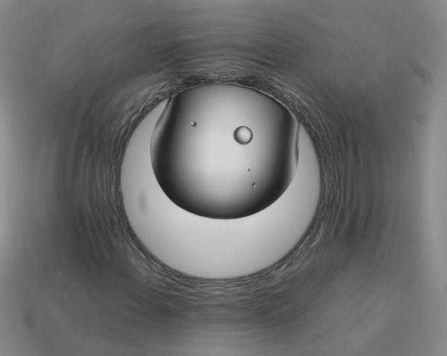 X0000113761108200910141042