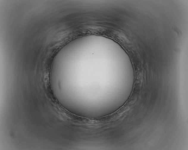 X0000113761109200910141042
