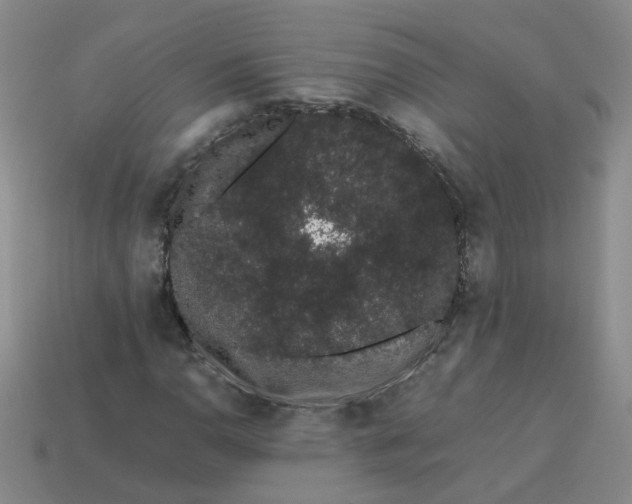 X0000113761110200910141042