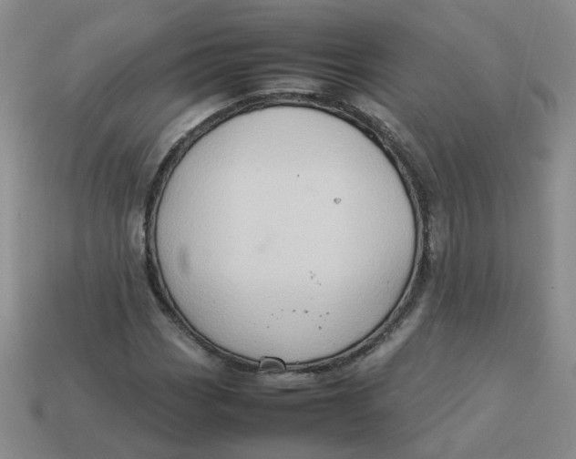X0000113761113200910141042