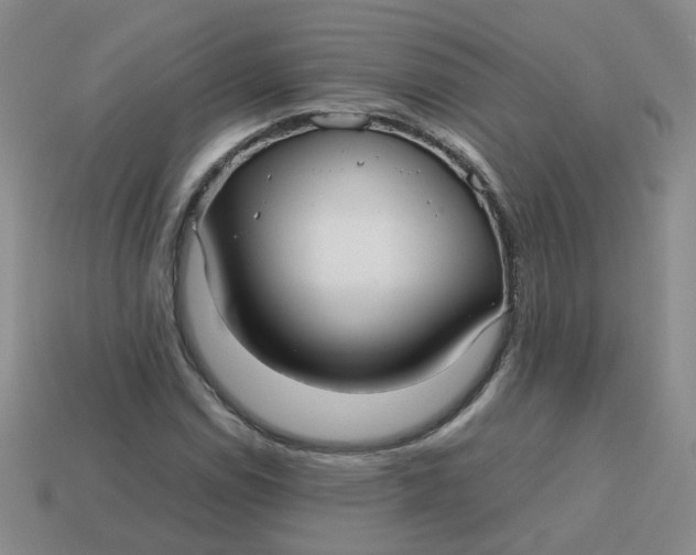 X0000113761114200910141042