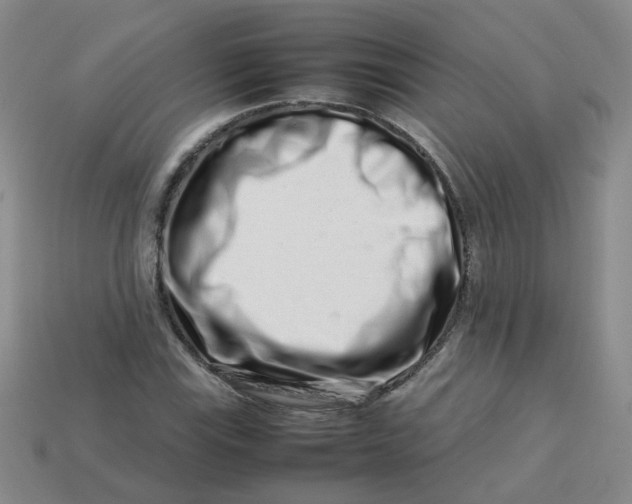 X0000113761115200910141042