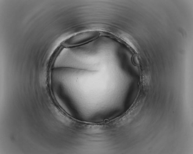 X0000113761116200910141042
