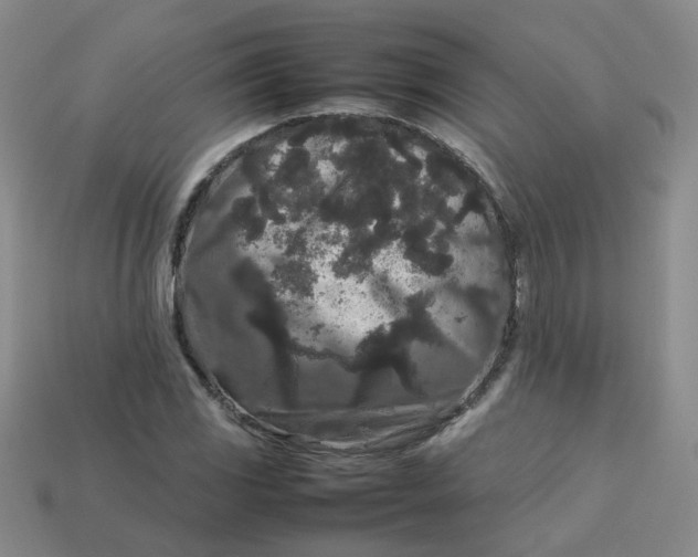 X0000113761117200910141042