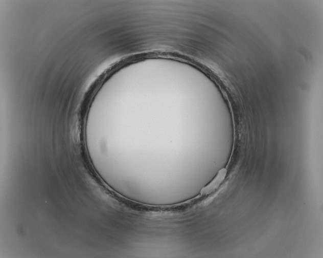 X0000113761118200910141042