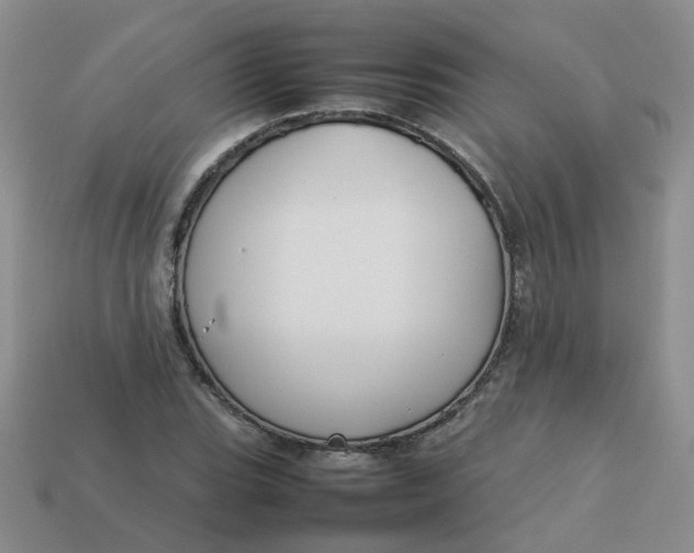 X0000113761119200910141042