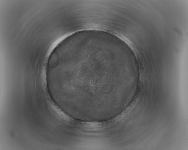 X0000113761120200910141042