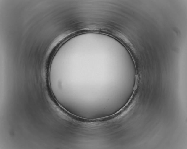 X0000113761122200910141042