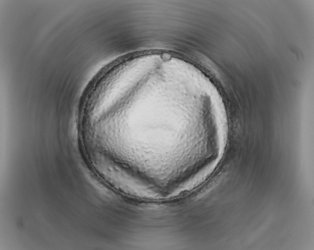 X0000113761124200910141042