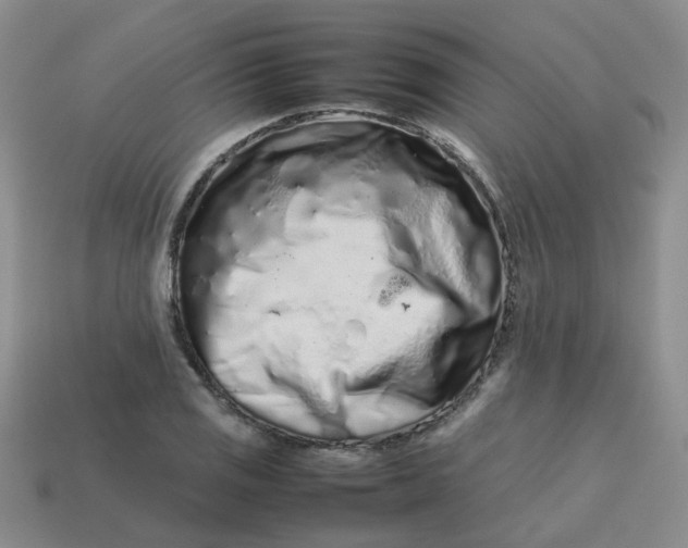 X0000113761125200910141042