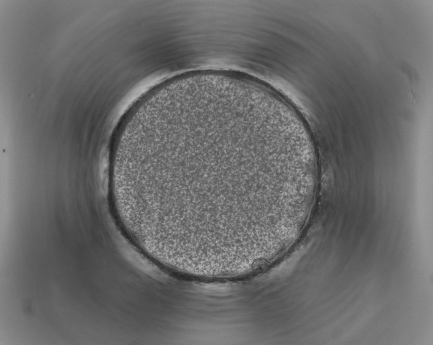 X0000113761126200910141042